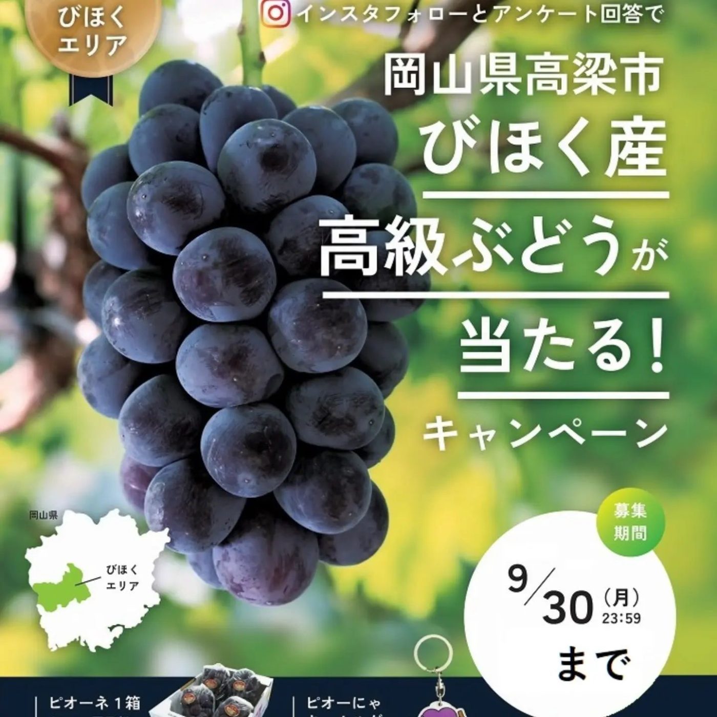 岡山県 インスタフォロー&アンケート回答で、びほく産高級ぶどう（2kg箱）などが30名に当たる