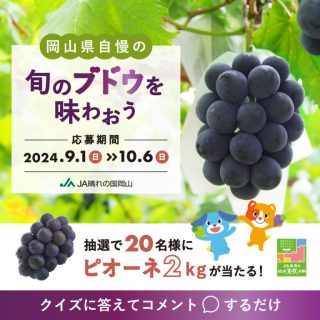 JA晴れの国岡山 クイズに答えて、正解した人の中から抽選で２０人の方に「JA晴れの国岡山産ピオーネ2kg」をプレゼント