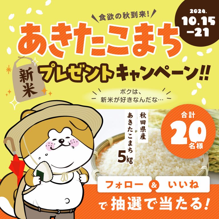 秋田犬 たれみみだいちゃん 抽選で20名にあきたこまち5kgをプレゼント