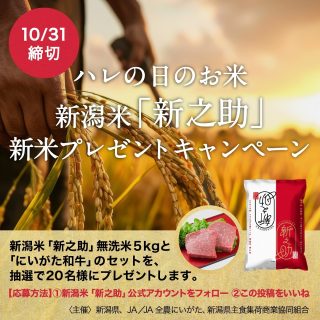 新之助・無洗米＆にいがた和牛の豪華セットを抽選で20名にプレゼント