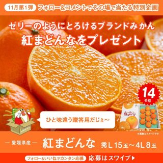 JAタウン 紅まどんなが14名にその場で当たる