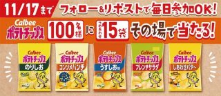 カルビーPR部 ポテトチップス詰め合わせ（5種類・合計15袋）が100名にその場で当たる