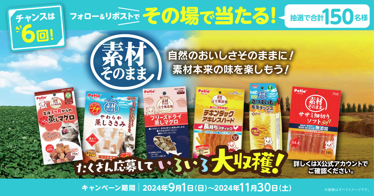 Petio 素材そのまま 詰め合わせセットが合計150名にその場で当たる