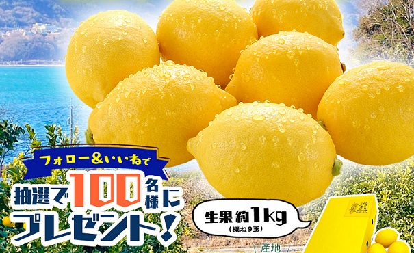瀬戸内広島レモン 生果約1kgが100名に当たる
