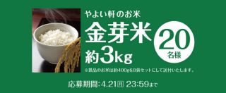 金芽米 約3kgが20名に当たる