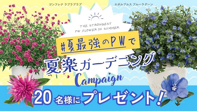 ゴンフレナ ラブラブラブ & エボルブルス ブルーラグーン 各1ポットが20名に当たる