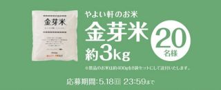 金芽米 約3kgが20名に当たる