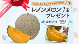 茨城県産 レノンメロンが10名に当たる