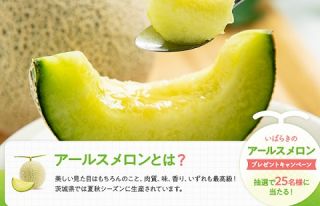 茨城県産 アールスメロン 1玉入りが25名に当たる
