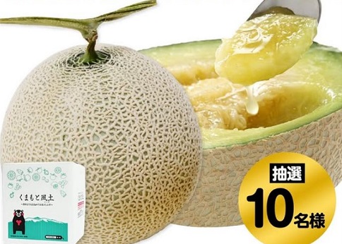 くまもと風土 マスクメロン 1玉が抽選で10名に当たる