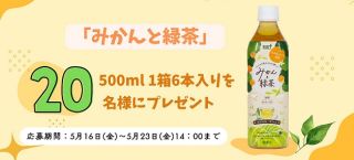 みかんと緑茶 500ml 1箱6本入りが抽選で20名にプレゼント