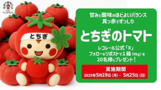 とちぎのトマト 1箱 4kgを抽選で20名にプレゼント