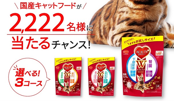 【毎日応募】日本ペットフード ビューティープロ キャット Wケアが2,222名にその場で当たる