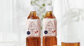 彩茶 -あやちゃ- ほうじ茶 500ml 24本 1ケースが抽選で30名に当たる