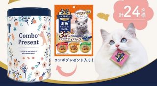 日本ペットフード コンボプレゼント キャット缶が抽選で24名に当たる