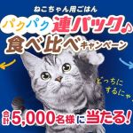 日本ペットフード コンボ キャット 連パック2種セットが抽選で​合計5,000名に当たる